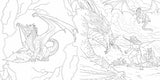 Dragons of the Realms: An Official Dungeons & Dragons Coloring Book - Retail Maharaj