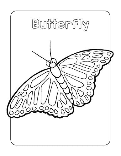 Bug Book for Kids: Coloring Fun and Awesome Facts - Retail Maharaj