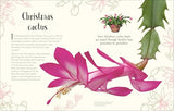 An Anthology of Christmas: The Festive Gift of the Season (DK Children's Anthologies) - Retail Maharaj