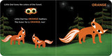 Little Owl's Colors - Retail Maharaj