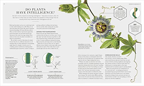 The Science of Gardening: Discover How Your Garden Really Grows - Retail Maharaj