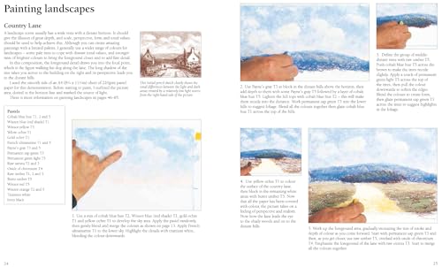 Pastel Painting Step-By-Step - Retail Maharaj