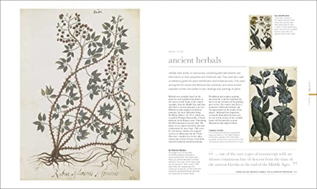 The Science of Plants: Inside their Secret World - Retail Maharaj