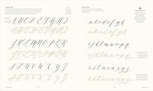 The Calligraphy Book: Pointed Pen Techniques, Inspiration, and Projects - Retail Maharaj