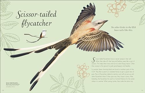 An Anthology of Exquisite Birds - Retail Maharaj