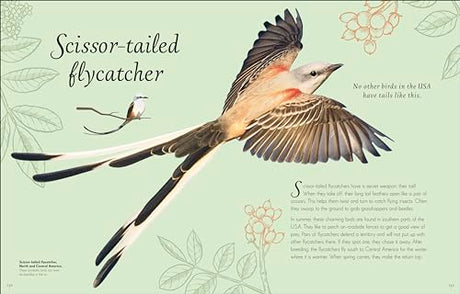 An Anthology of Exquisite Birds - Retail Maharaj