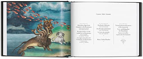 The Book of Miracles - Retail Maharaj