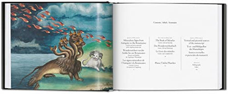 The Book of Miracles - Retail Maharaj