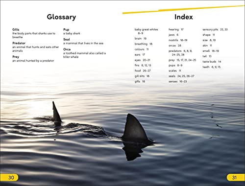 DK Super Readers Level 2 Great White Sharks - Retail Maharaj