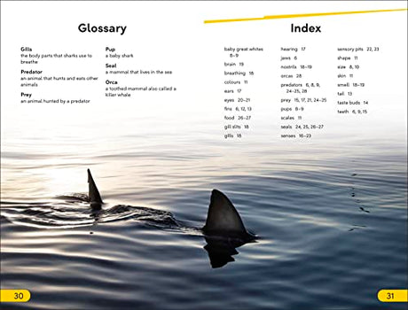 DK Super Readers Level 2 Great White Sharks - Retail Maharaj