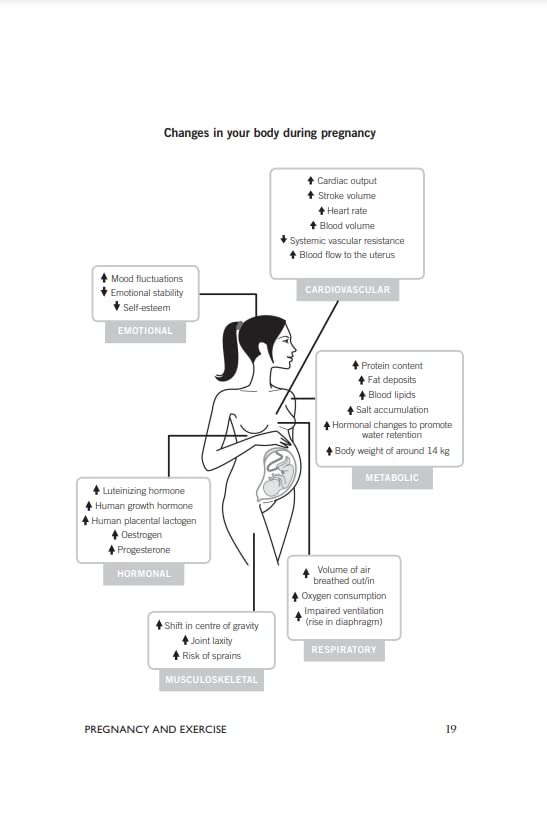 Bump It Up: The Dynamic, Flexible Exercise and Healthy Eating Plan For Before, During and After Pregnancy - Retail Maharaj