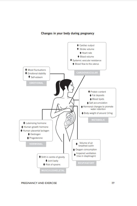 Bump It Up: The Dynamic, Flexible Exercise and Healthy Eating Plan For Before, During and After Pregnancy - Retail Maharaj
