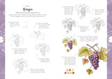 Botanicals: Draw over 50 Plants in 10 Easy Steps (10 Step Drawing) - Retail Maharaj