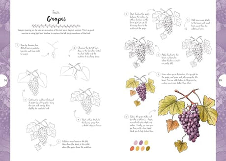 Botanicals: Draw over 50 Plants in 10 Easy Steps (10 Step Drawing) - Retail Maharaj