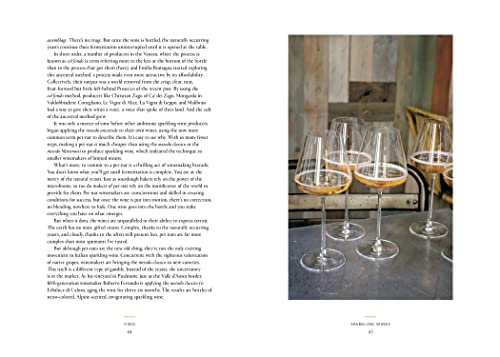 Vino: The Essential Guide to Real Italian Wine - Retail Maharaj