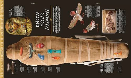Ancient Egypt - Retail Maharaj