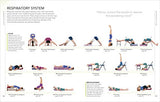 B.K.S. Iyengar Yoga The Path to Holistic Health: The Definitive Step-by-step Guide - Retail Maharaj