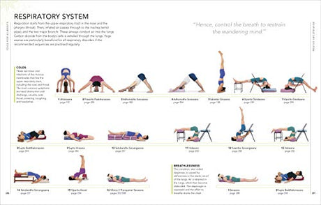 B.K.S. Iyengar Yoga The Path to Holistic Health: The Definitive Step-by-step Guide - Retail Maharaj