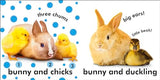 Baby Touch and Feel Bunny - Retail Maharaj