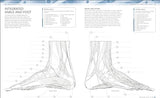 The Human Body Colouring Book: The Ultimate Anatomy Study Guide (DK Human Body Guides) - Retail Maharaj