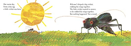 The Very Quiet Cricket Board Book - Retail Maharaj
