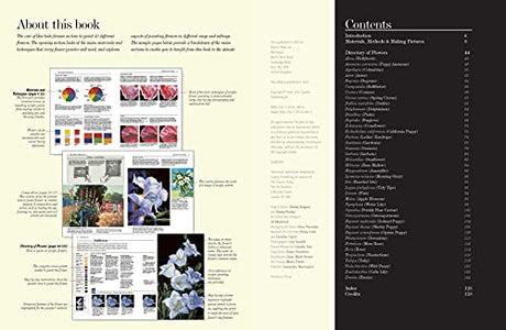 ACRYLIC FLOWER PAINTERS A TO Z - Retail Maharaj