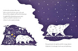 The Bear in the Stars - Retail Maharaj