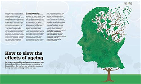 How the Brain Works: The Facts Visually Explained (How Things Work) - Retail Maharaj