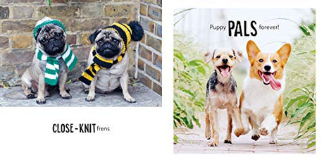 Chonk And Smol: Puppers, woofers, Floofers and Frens - Retail Maharaj
