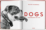 Walter Chandoha. Dogs. Photographs 1941-1991 - Retail Maharaj