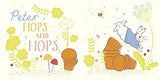 Peter Rabbit: Hello Peter! (Peter Rabbit Baby Books) - Retail Maharaj