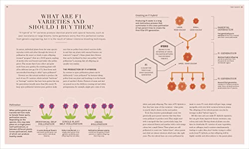 The Science of Gardening: Discover How Your Garden Really Grows - Retail Maharaj