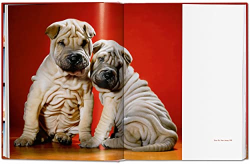 Walter Chandoha. Dogs. Photographs 1941-1991 - Retail Maharaj