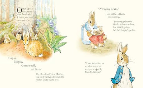 Peter Rabbit: Book and Toy Gift Set: The perfect present for babies and toddlers - Retail Maharaj