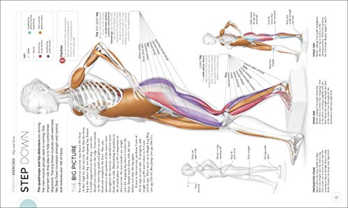 Science of Running: Analyse your Technique, Prevent Injury, Revolutionize your Training - Retail Maharaj