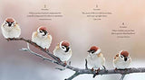 365 Thoughts of Peace & Harmony - Retail Maharaj