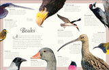 An Anthology of Exquisite Birds - Retail Maharaj