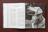 The Golden Retriever Photographic Society - Retail Maharaj