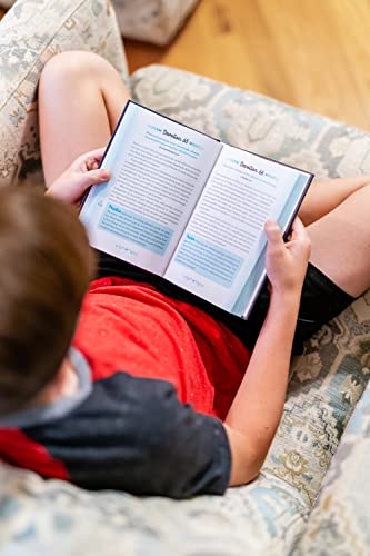 A Mindful Moment: 5-Minute Meditations and Devotions - Retail Maharaj