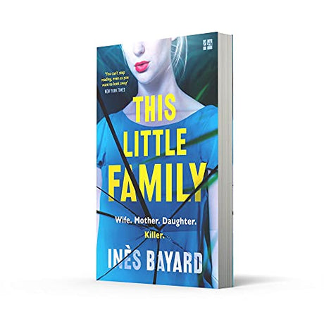 This Little Family: The most gripping, shocking, dark, thought-provoking feminist fiction for 2021 - Retail Maharaj