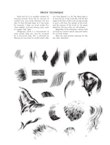 The Art of Animal Drawing: Construction, Action Analysis, Caricature - Retail Maharaj