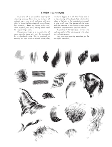 The Art of Animal Drawing: Construction, Action Analysis, Caricature - Retail Maharaj