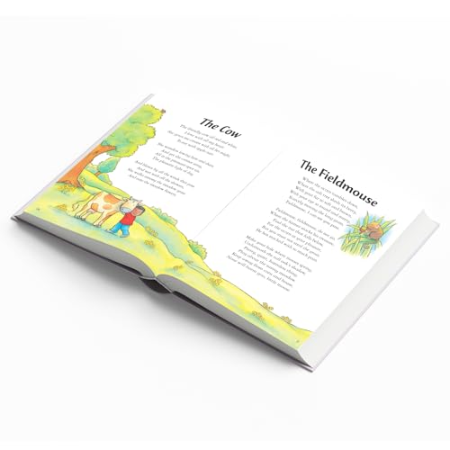 365 Stories & Rhymes for boys | Children's storyooks | Padded Storybooks | stories for children | Stories for boys - Retail Maharaj