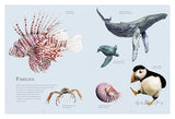 Water World: A stunning deep dive into our great oceans and the wonders beneath the waves - Retail Maharaj