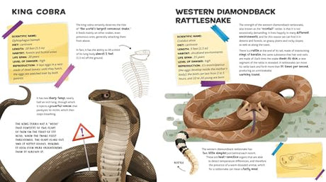 The Amazing Catalog of Weirdest Reptiles - Retail Maharaj