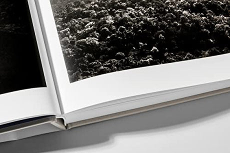 Sebastião Salgado. Amazônia: Amazônia - Retail Maharaj