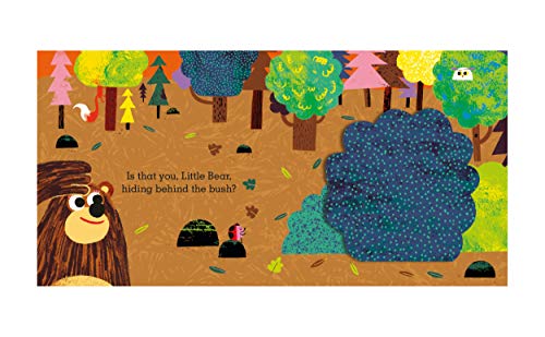 Is that you, Little Bear?: A pull-and-slide flap book - Retail Maharaj