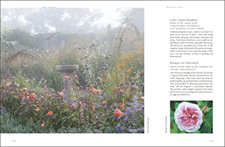 RHS Roses: An Inspirational Guide to Choosing and Growing the Best Roses - Retail Maharaj