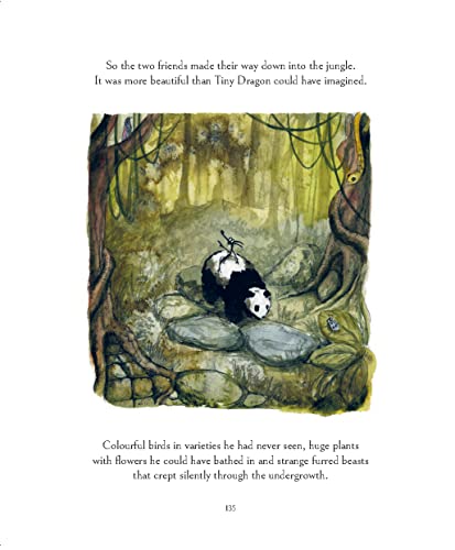 The Journey: A Big Panda and Tiny Dragon Adventure - Retail Maharaj
