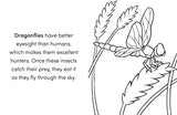 Bug Book for Kids: Coloring Fun and Awesome Facts - Retail Maharaj
